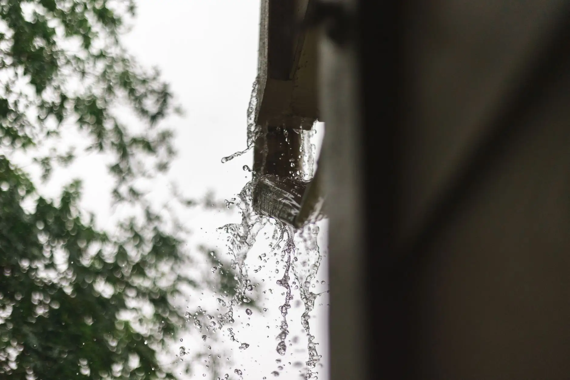 Rainwater bursting past a clogged gutter at a dark roof corner, tree soft behind it