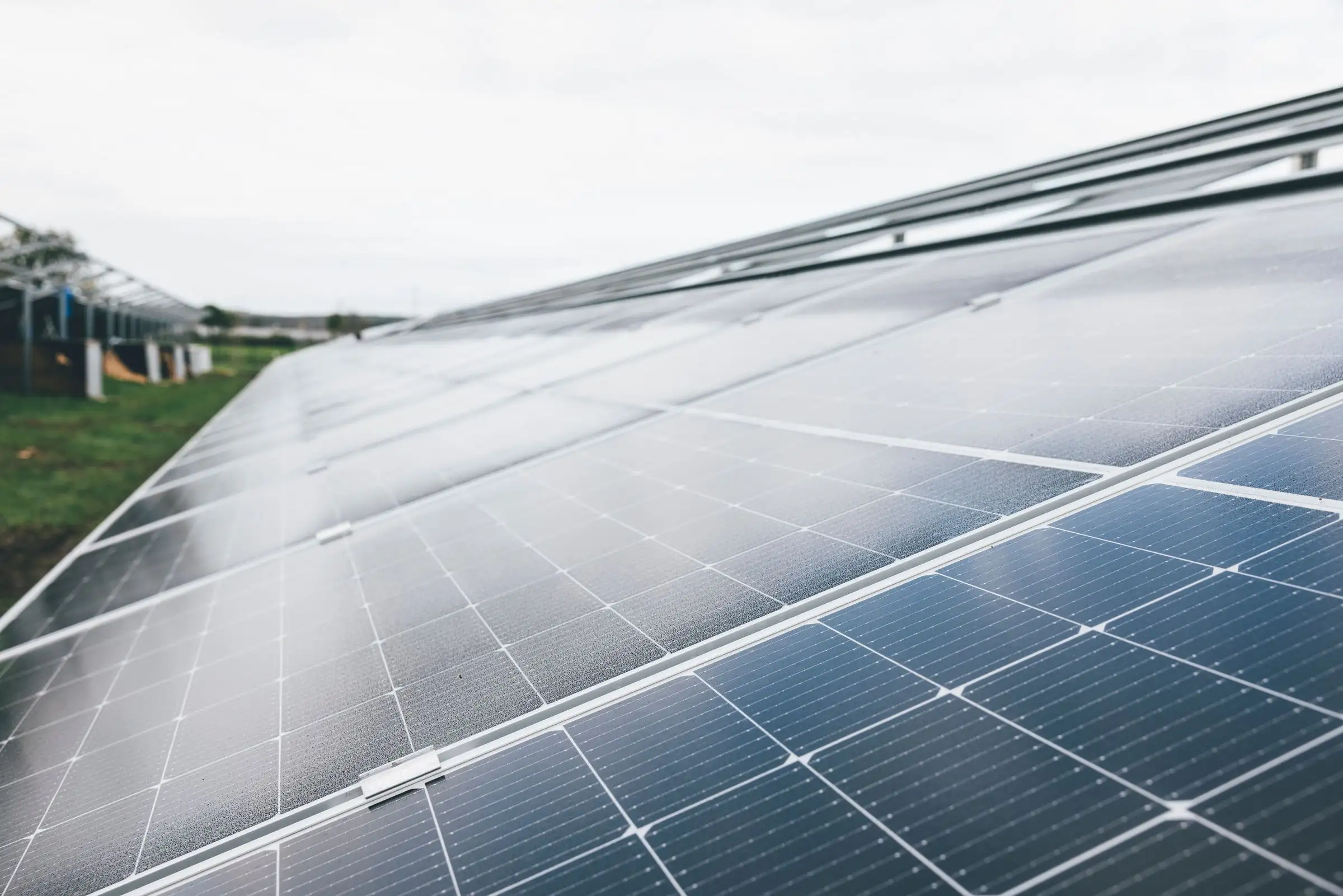 Solar cells and busbars seen at close range across a panel face