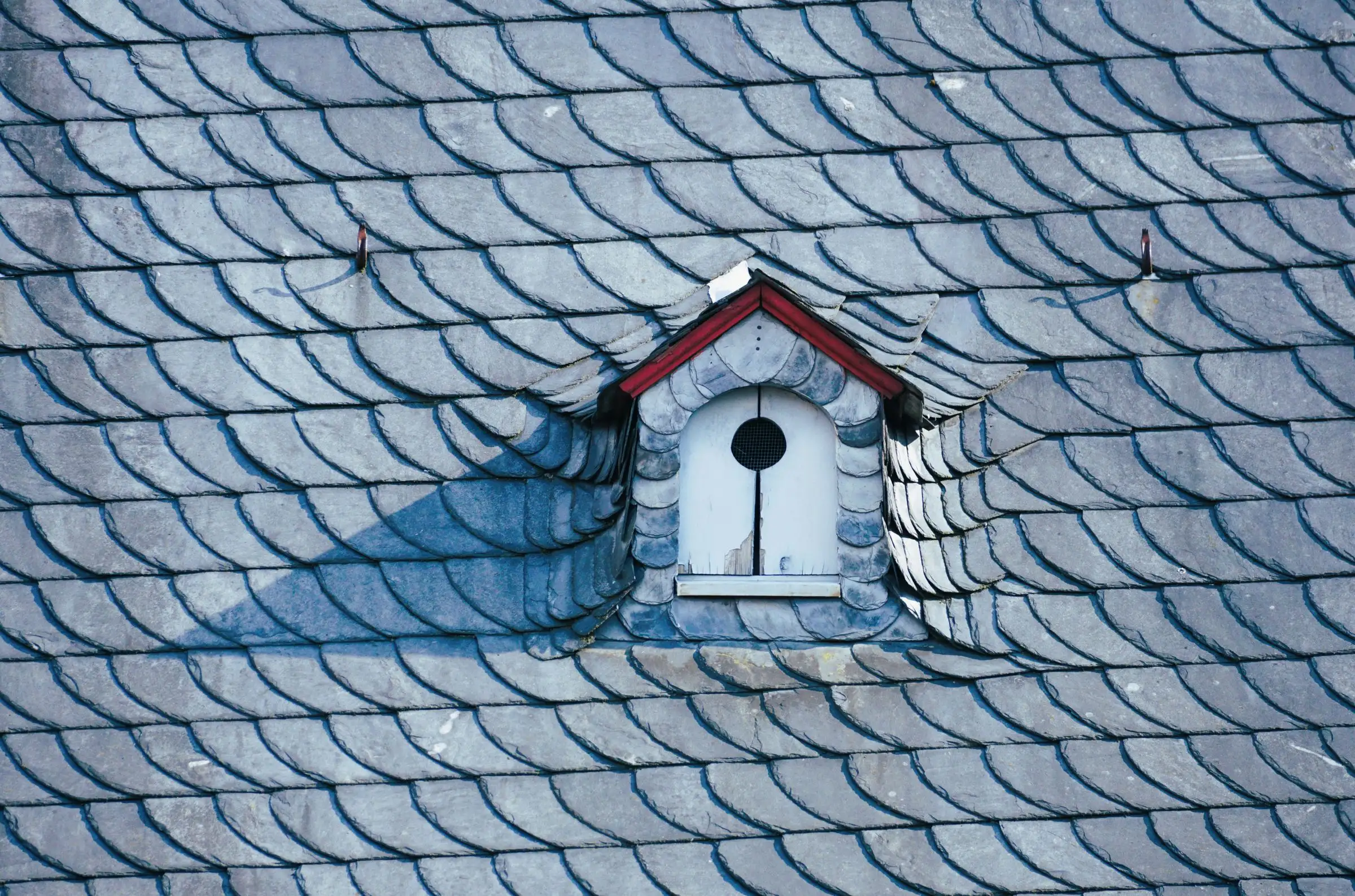 Slate roof laid in overlapping scalloped courses around a small dormer